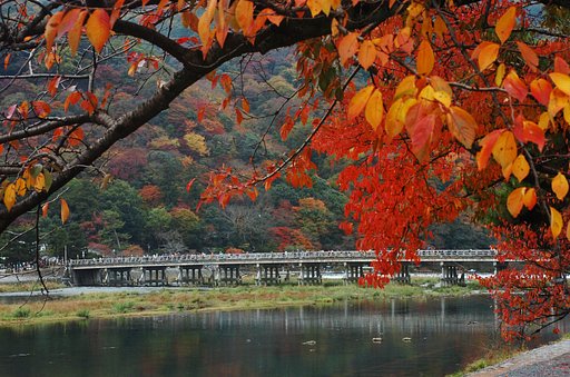 嵐山の紅葉