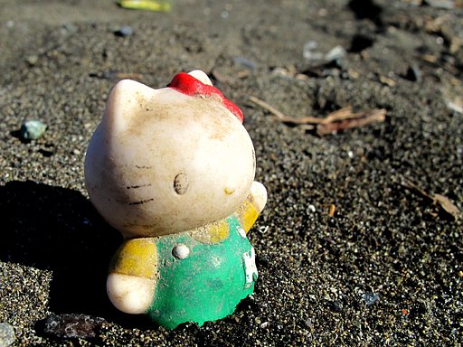 砂浜のニャン？