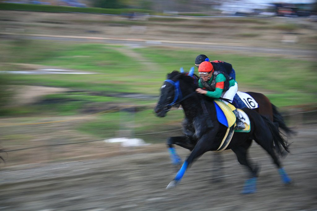 【秋】多度の草競馬
