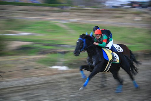 【秋】多度の草競馬