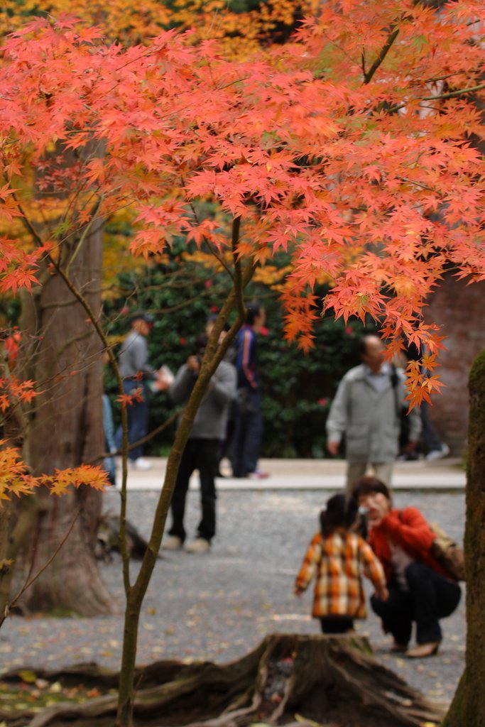 [秋] ほのぼのと南禅寺