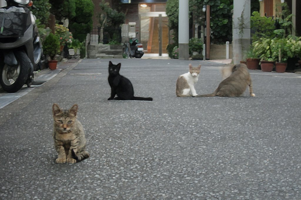 PS【遊び】下町の野良