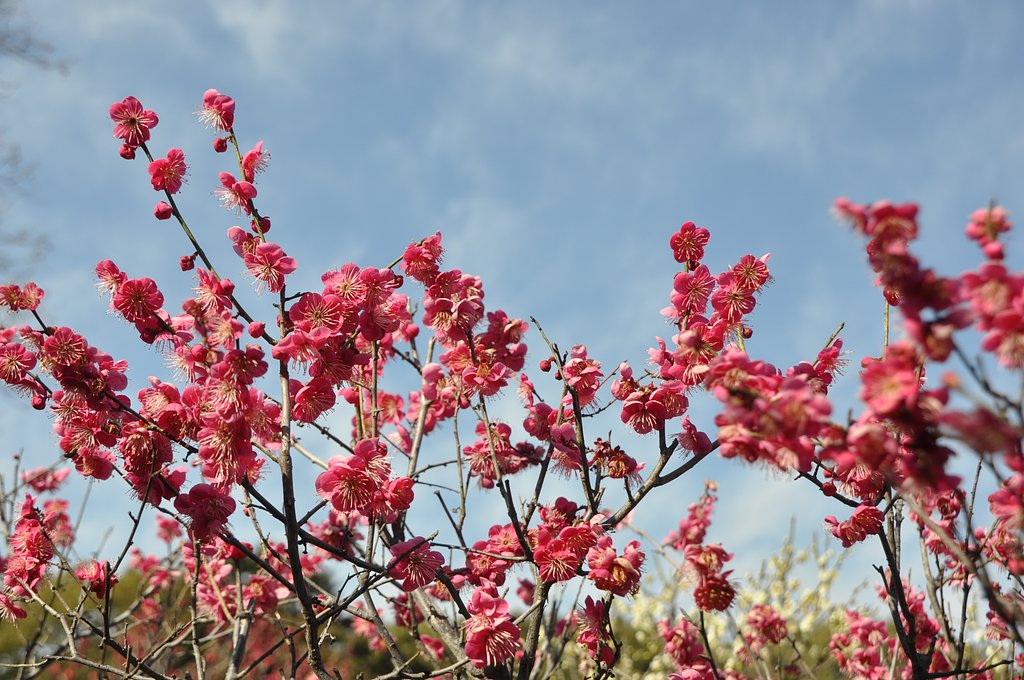 ＴＡＭＲＯＮ　18-270　Ｆ3.5-6.3