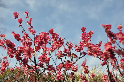 ＴＡＭＲＯＮ　18-270　Ｆ3.5-6.3