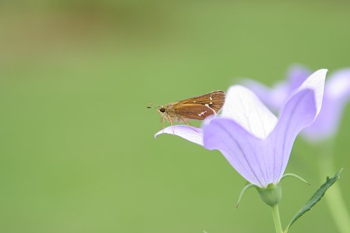 離陸３秒前
