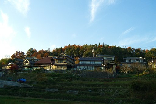 斜陽