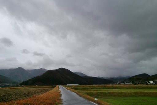 今日も又雨降り!
