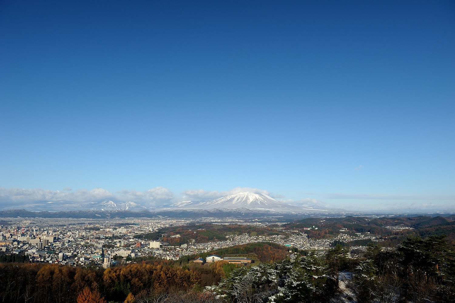 ついに来た・・