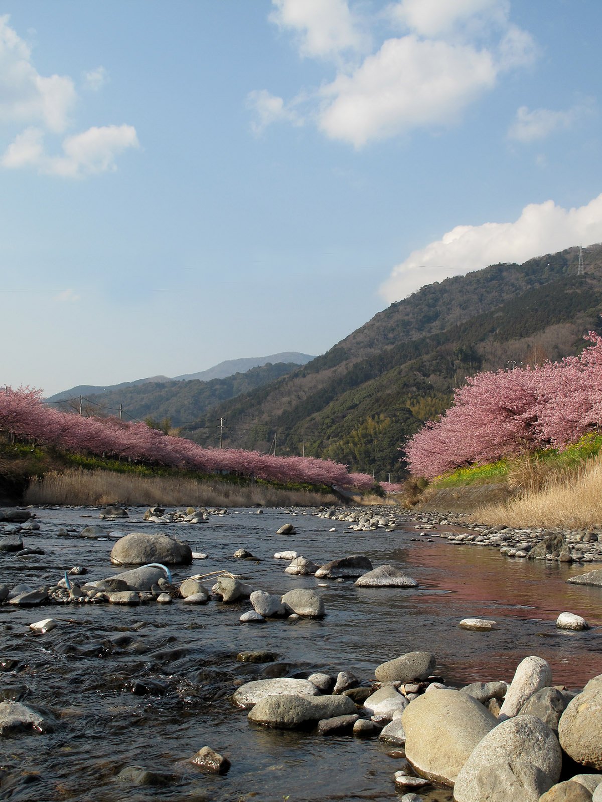 私も川面から