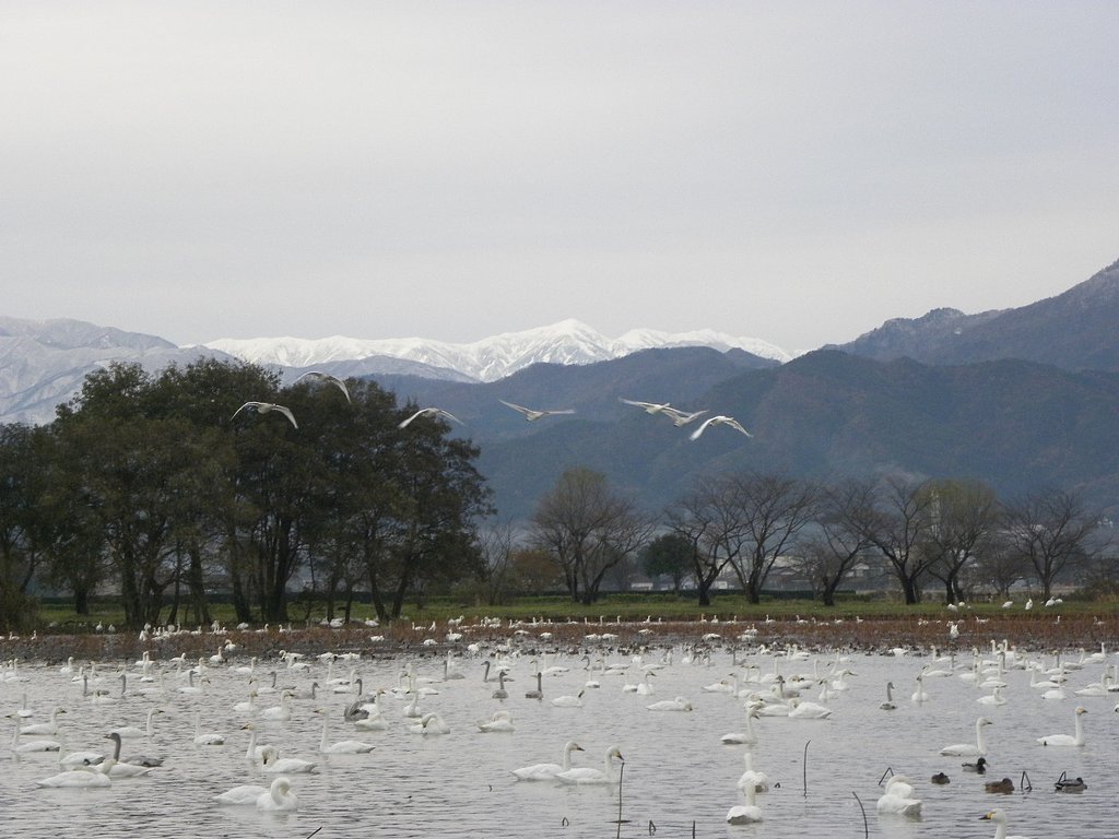 飯豊連峰に雪が