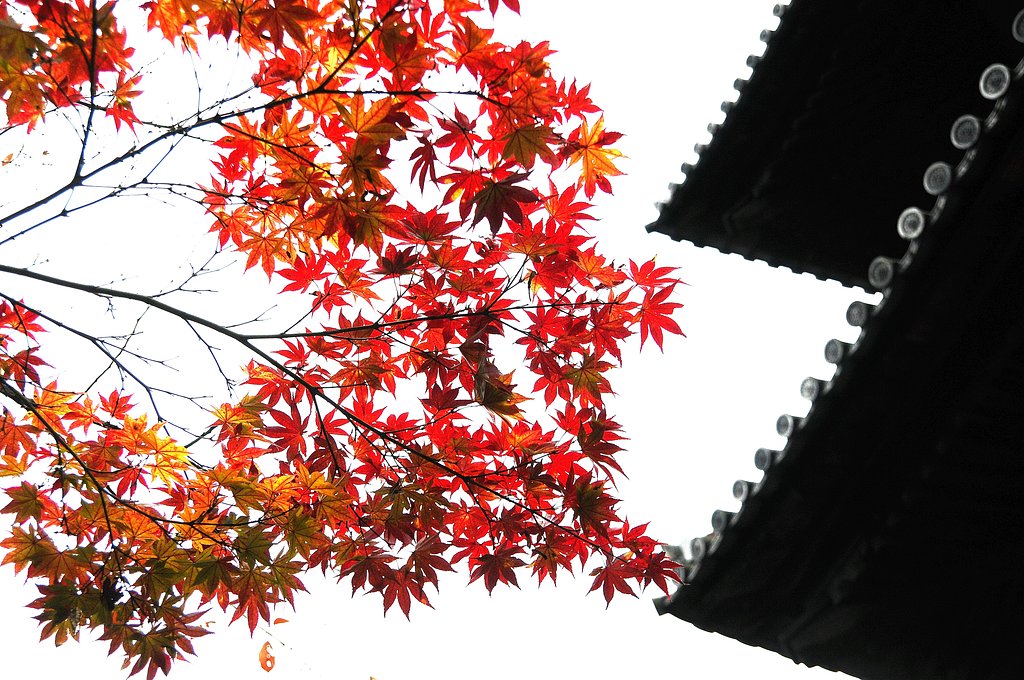 京都・南禅寺