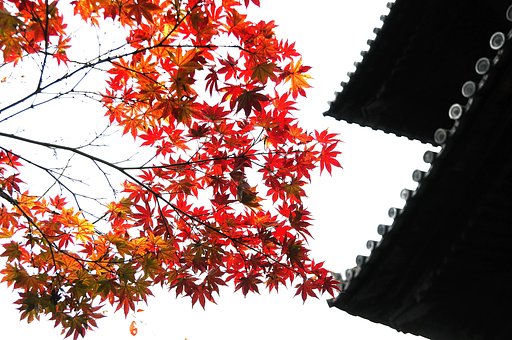 京都・南禅寺