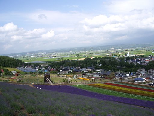 【やすらぎ】パープル