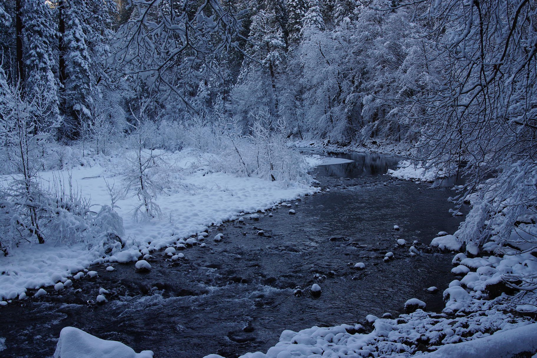 静かなMerced River