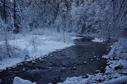 静かなMerced River