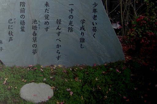 【秋】う〜ん！！頭が痛い