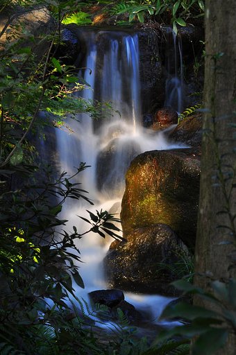 【流】日本庭園