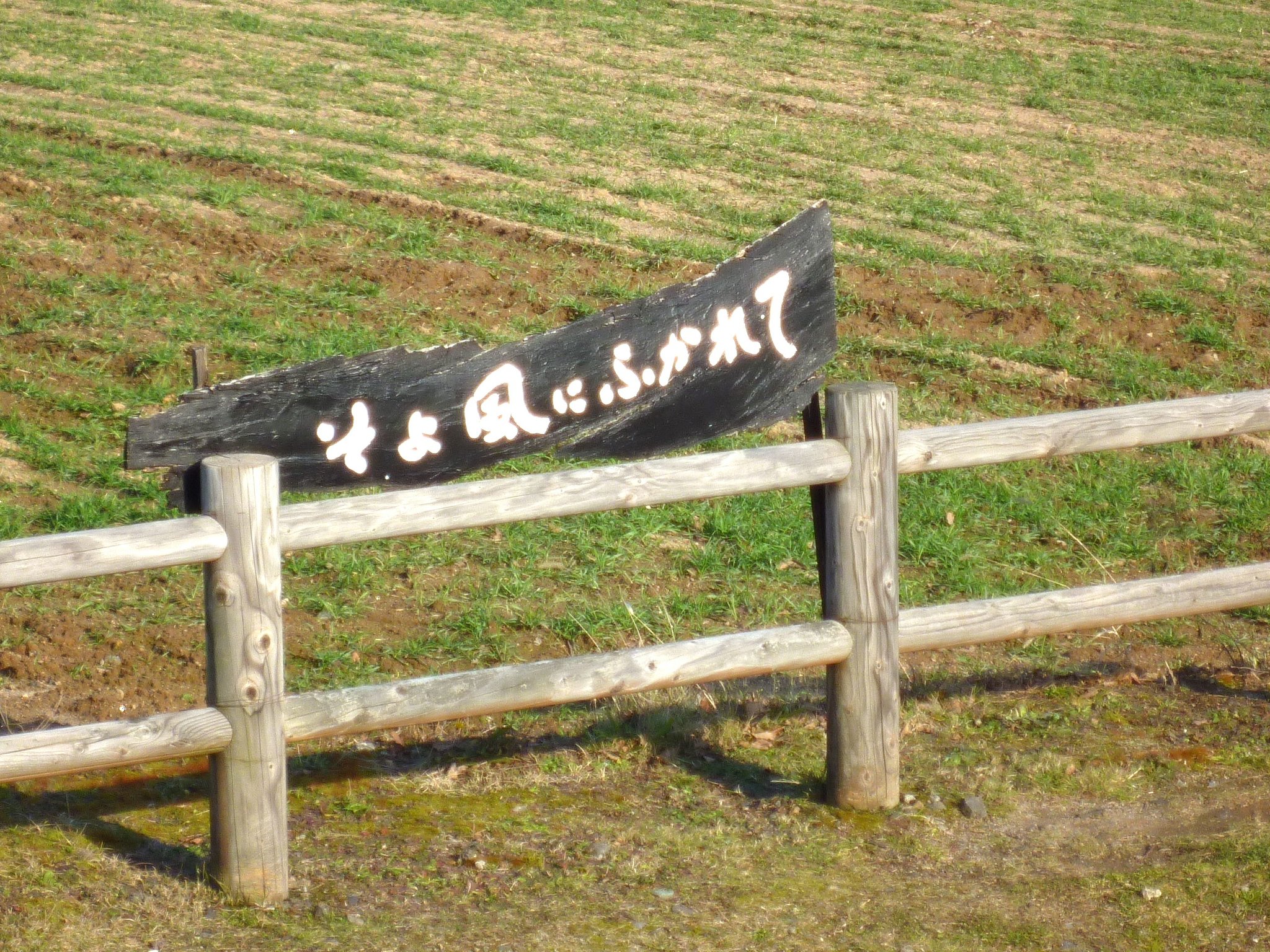 そよ風に〜〜♪