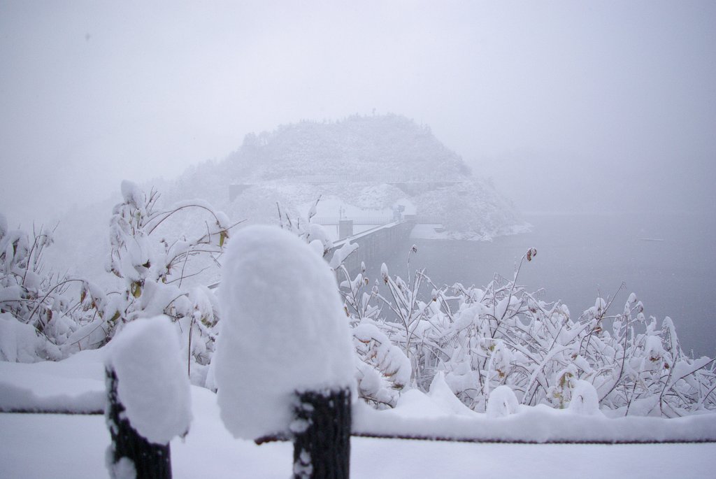 時ならぬ雪！