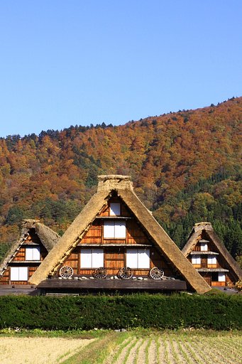 白川郷の秋