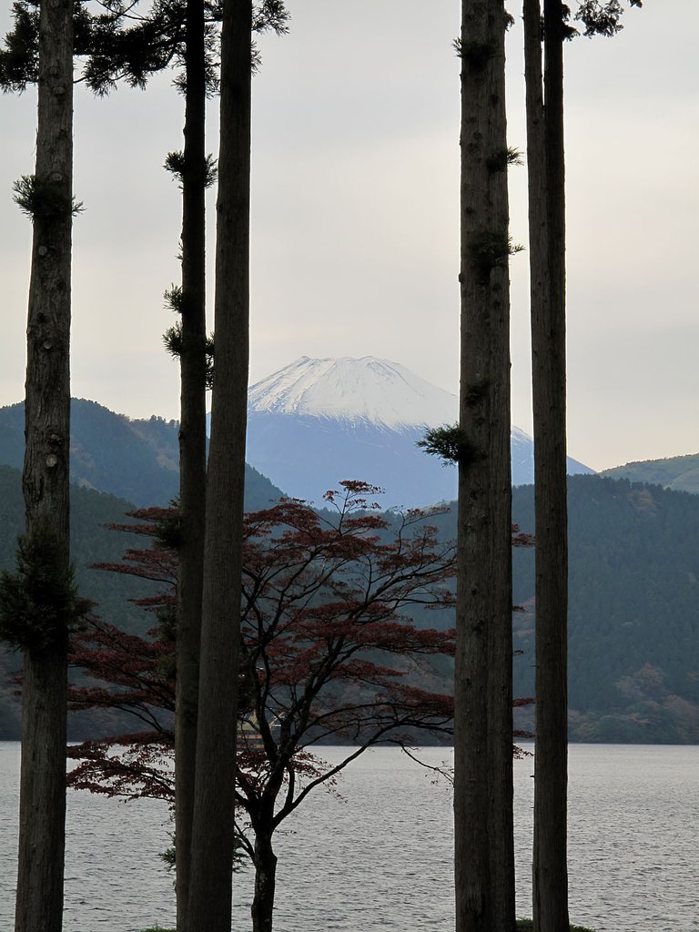 芦ノ湖と富士山