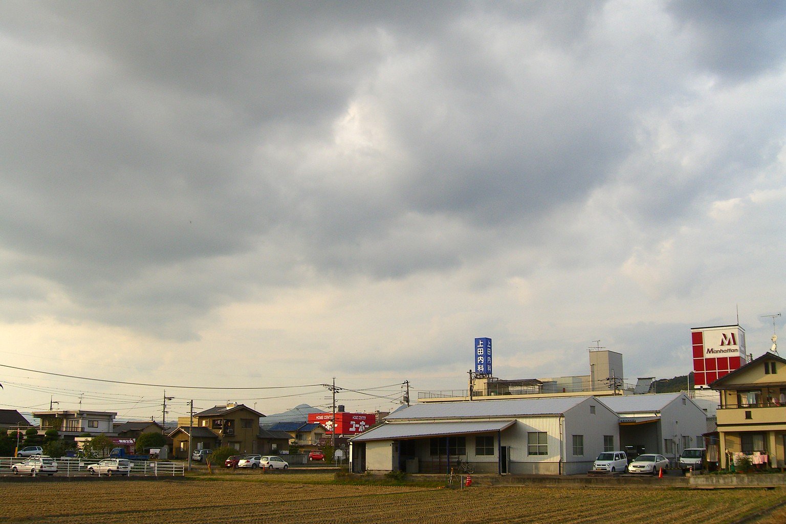 今日は暖かに