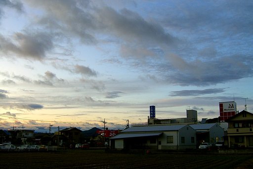 僅かに・・