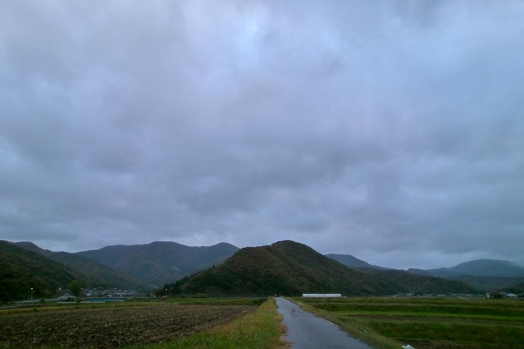 日のでは見られませんでした!