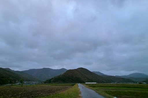 日のでは見られませんでした!