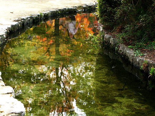 【秋】水面の紅葉