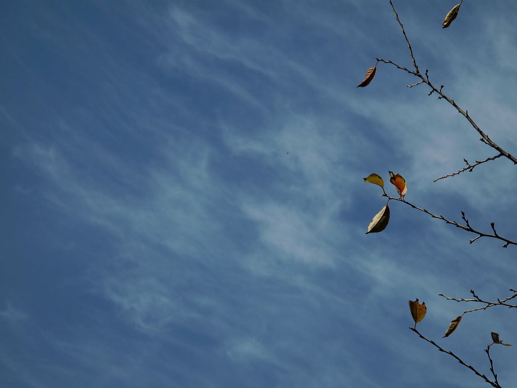 秋の空