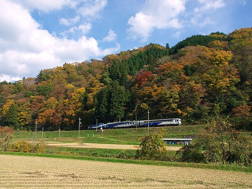 錦秋の木次線