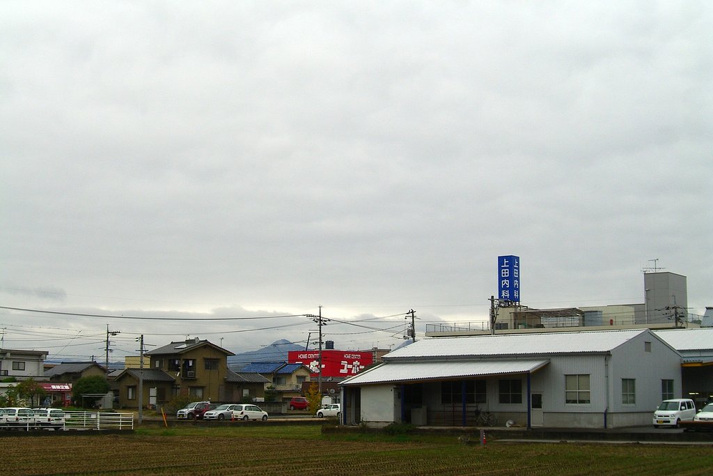 雨の報告