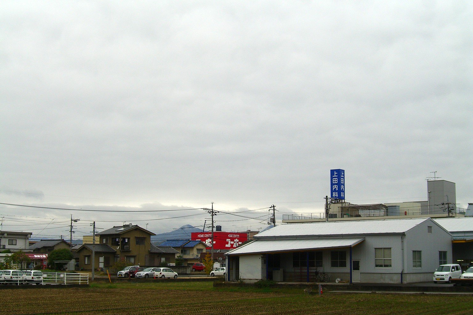 雨の報告