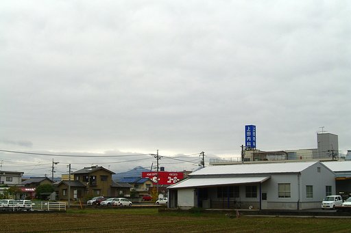 雨の報告