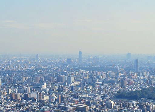 東京スカイツリー遠景