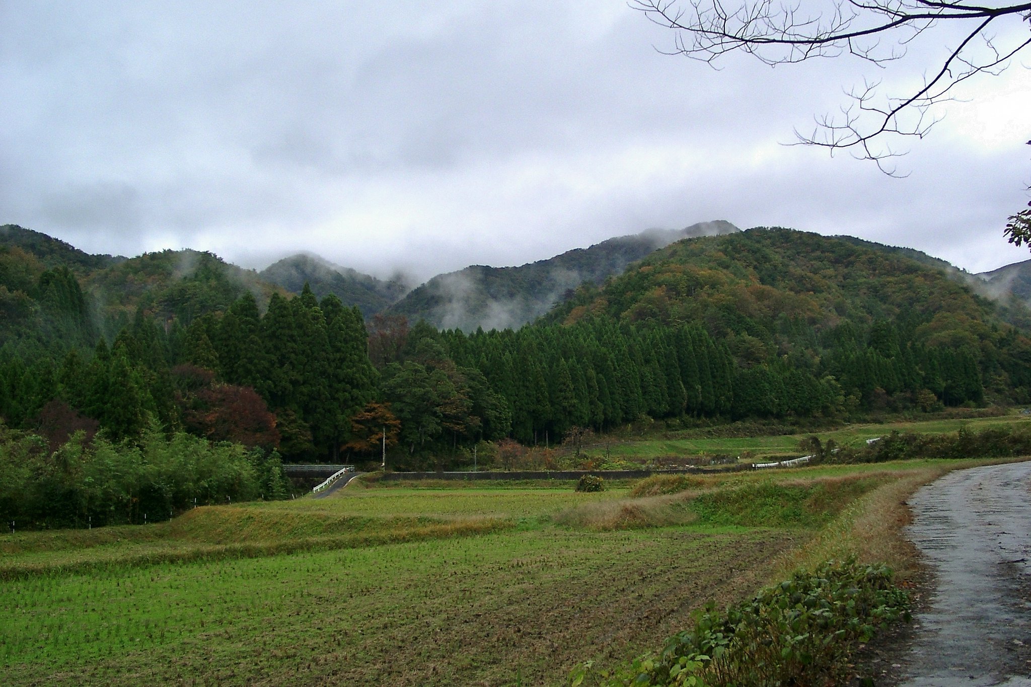 奥山が紅葉