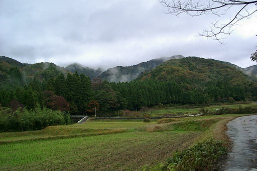 奥山が紅葉