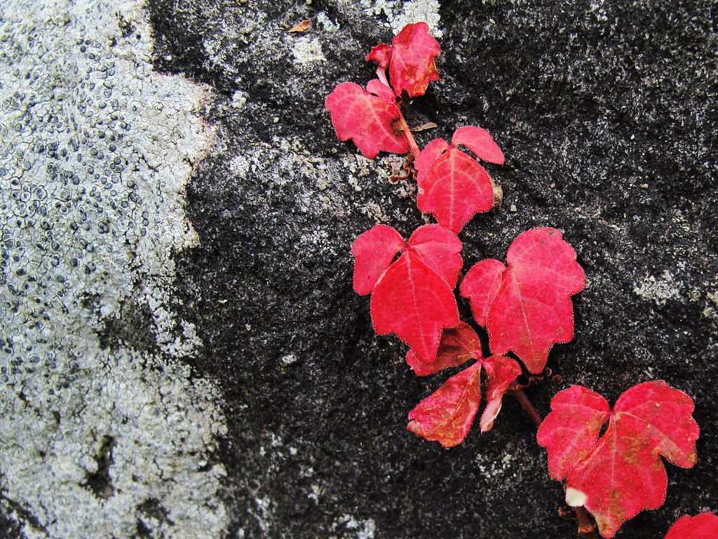 [秋]静