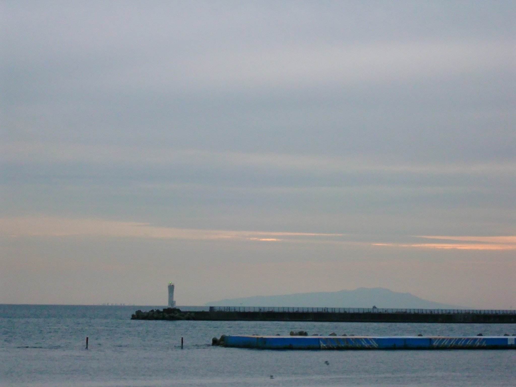 今朝の熱海で伊豆大島