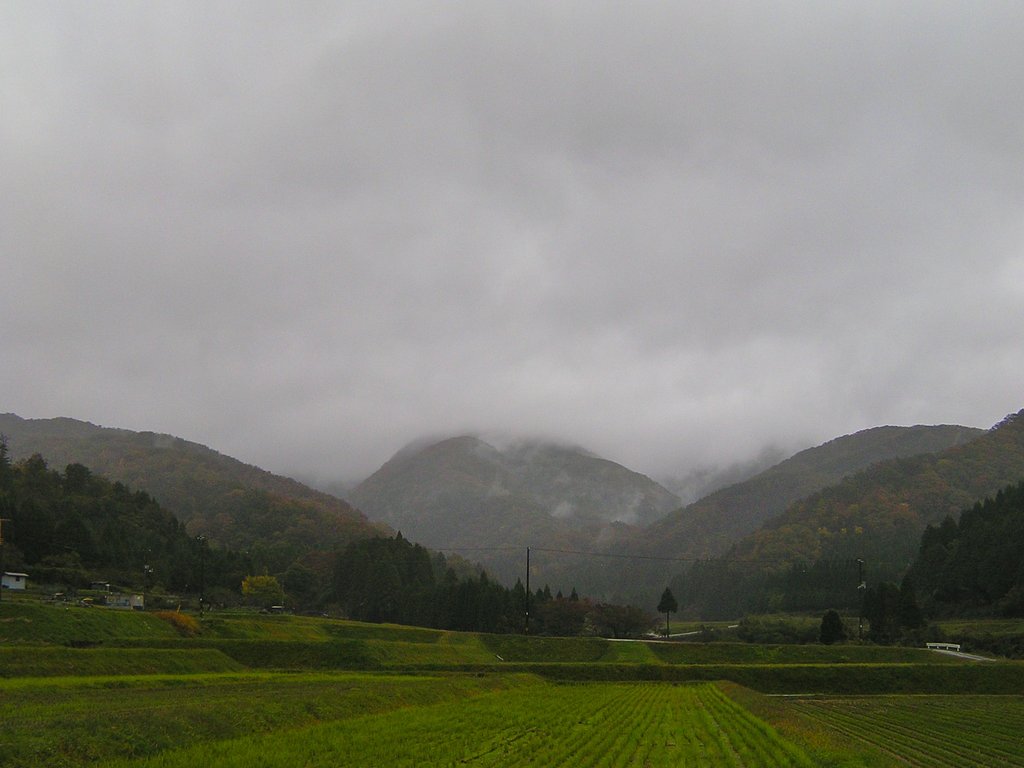 今朝も雨空!