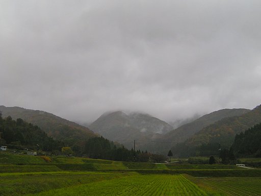 今朝も雨空!