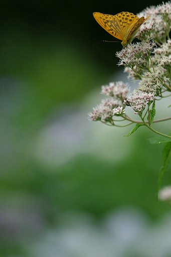 さて、次は・・