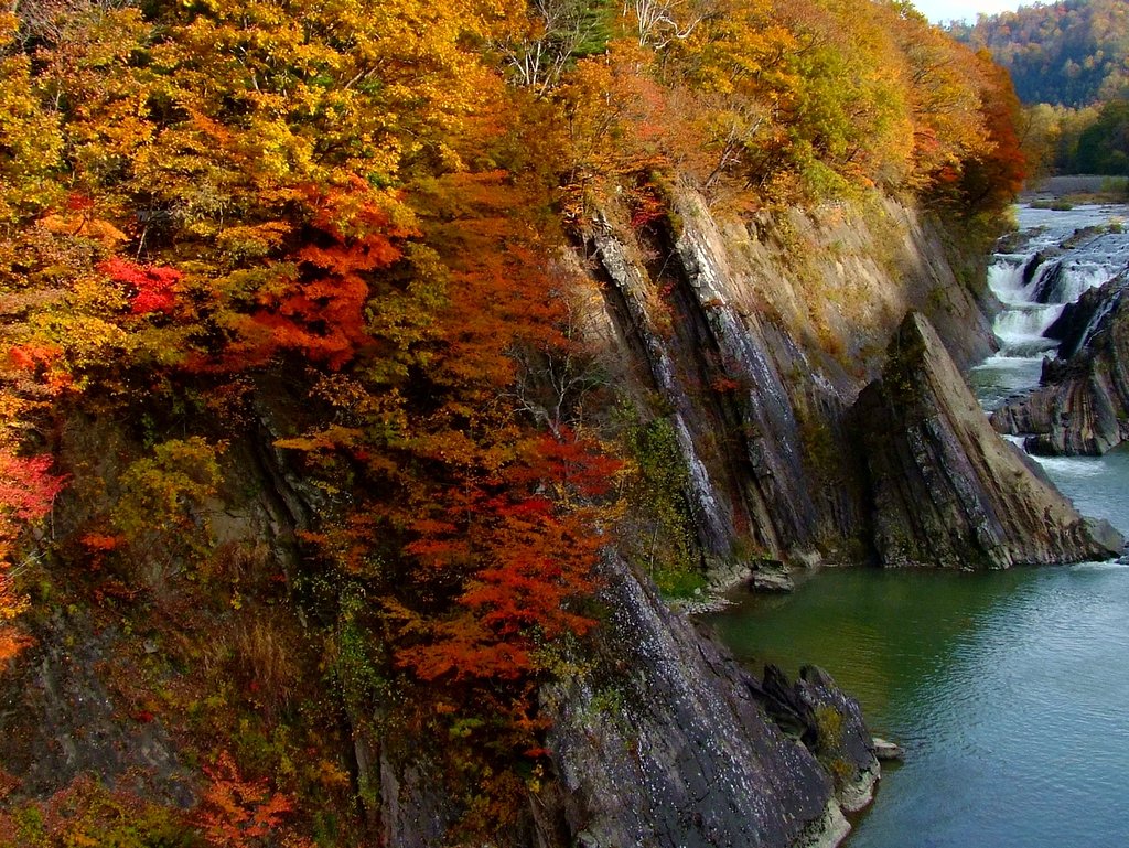 いまさらの紅葉。
