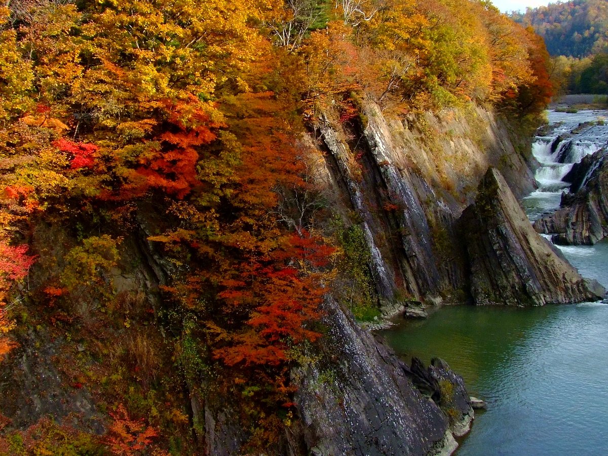 いまさらの紅葉。