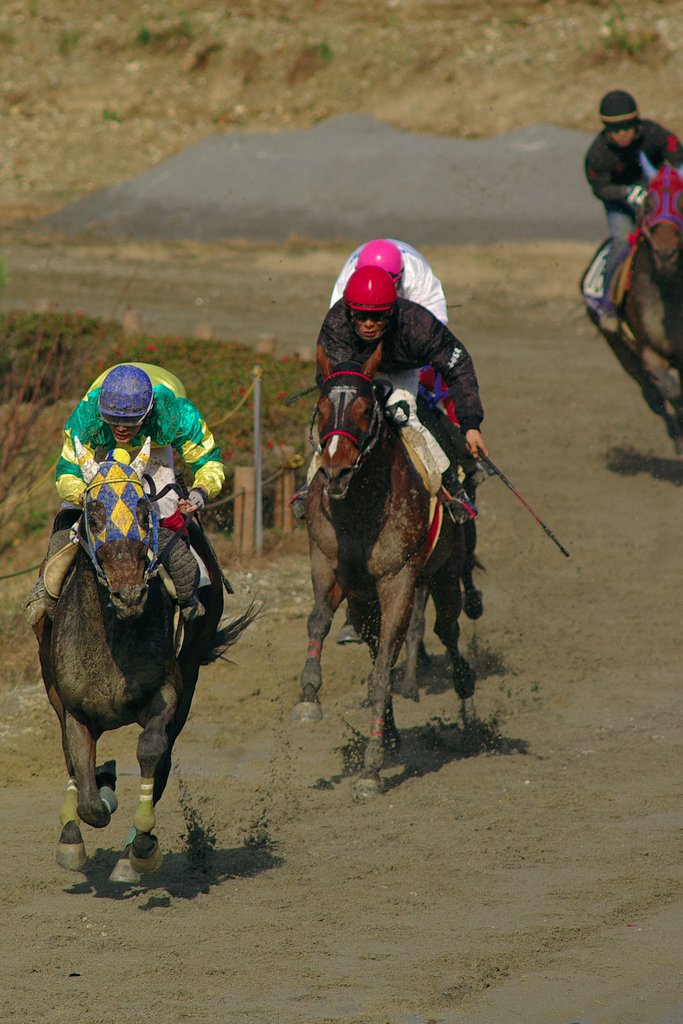 【秋】色の草競馬