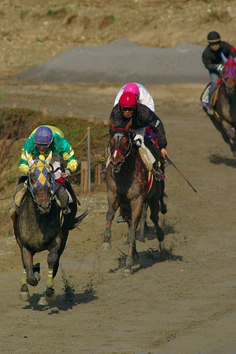 【秋】色の草競馬