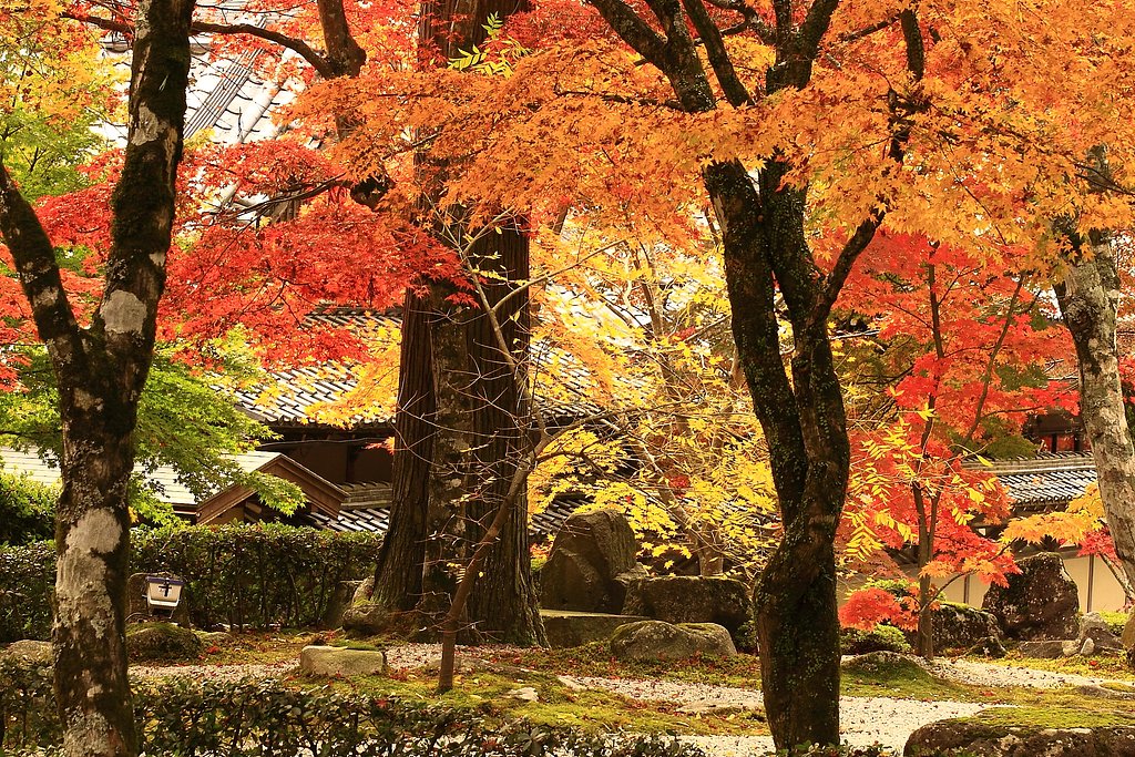 永源寺の紅葉
