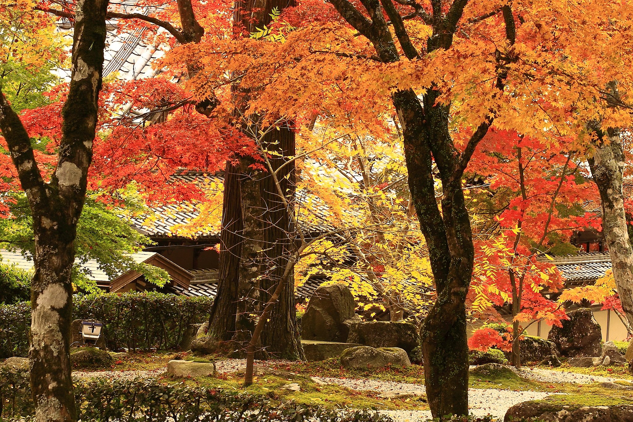 永源寺の紅葉