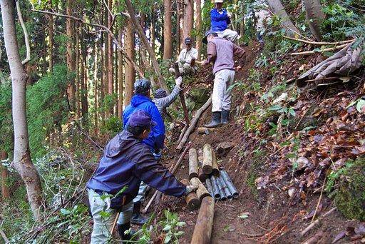 カタクリ見学の為の道作り-1